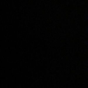 Meet your Posher, Ella